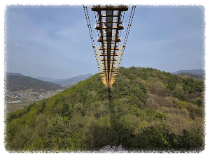 요즘 SNS에서 핫한 곳! 봉명산 출렁다리