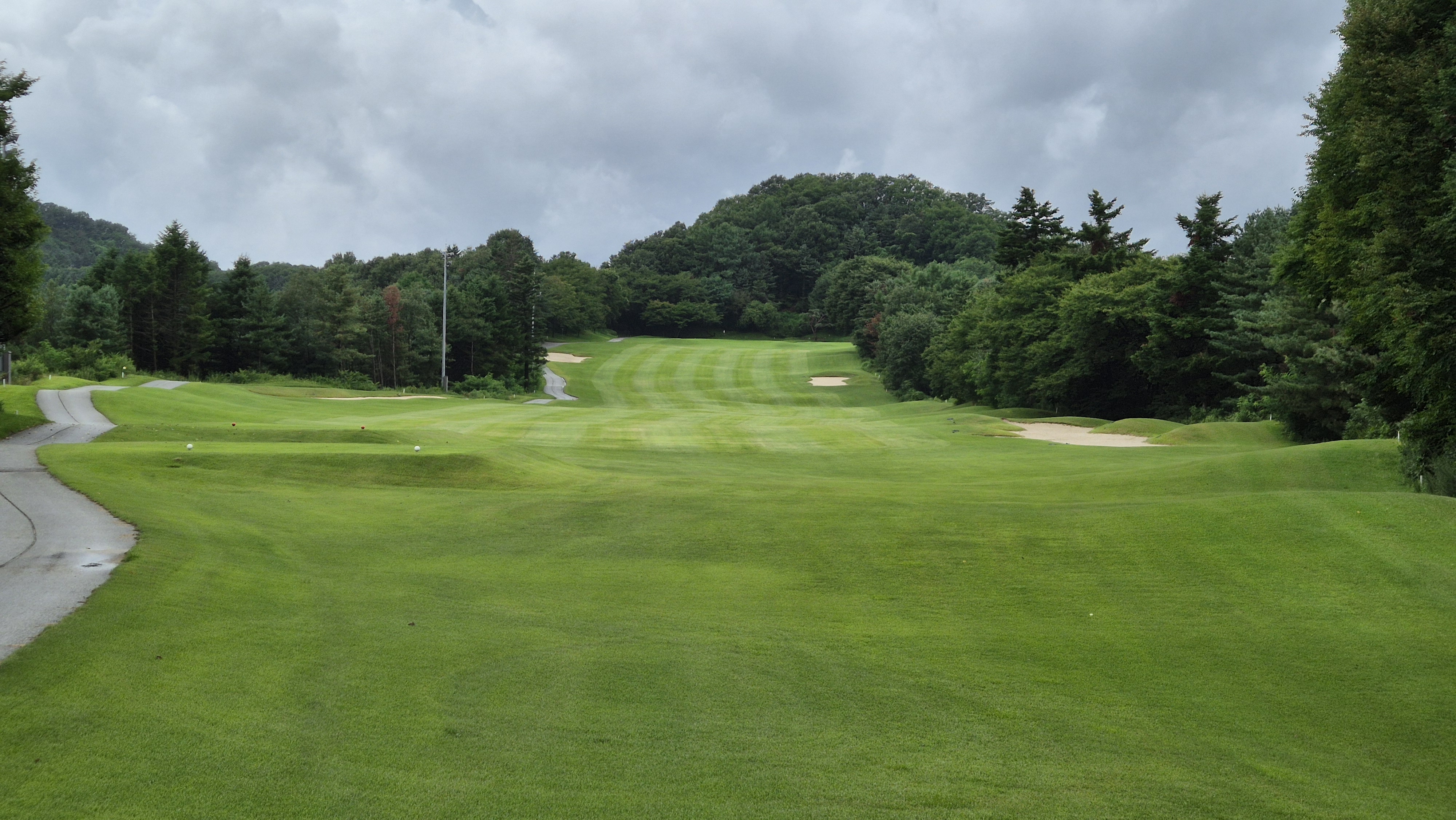 뉴서울cc 예술in-문화in 코스 사진 및 공략 정보