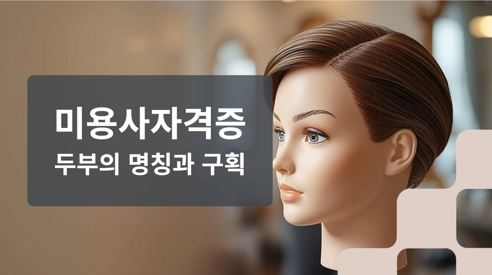 헤어용어 두부의 명칭과 구획 요약정리
