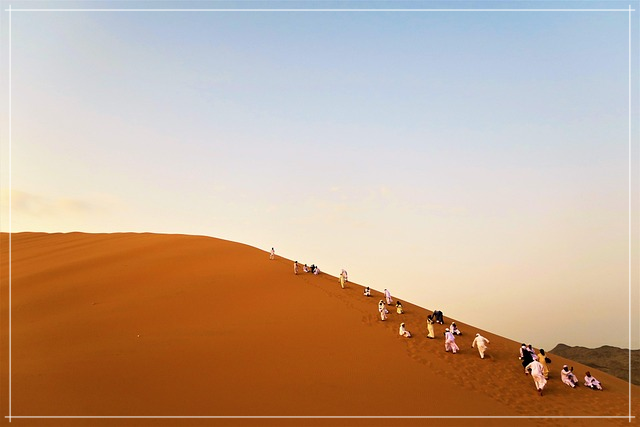 삼성화재_해외여행자보험_가입방법3