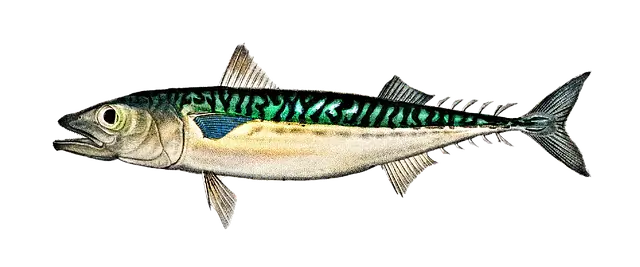 통풍에 해로운 음식