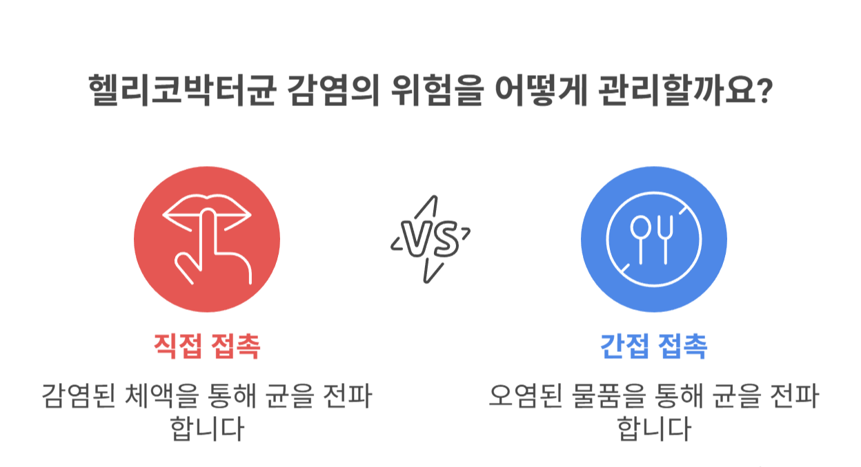 헬리코박터균이란? 전염 경로부터 이해하기