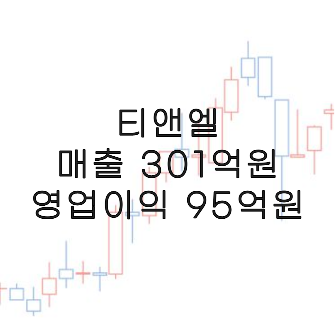 주식-티앤엘
