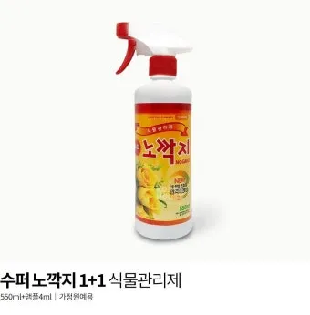 화분 깍지벌레 제거 면봉닦기 알코올희석 분무 재발방지 체크_10