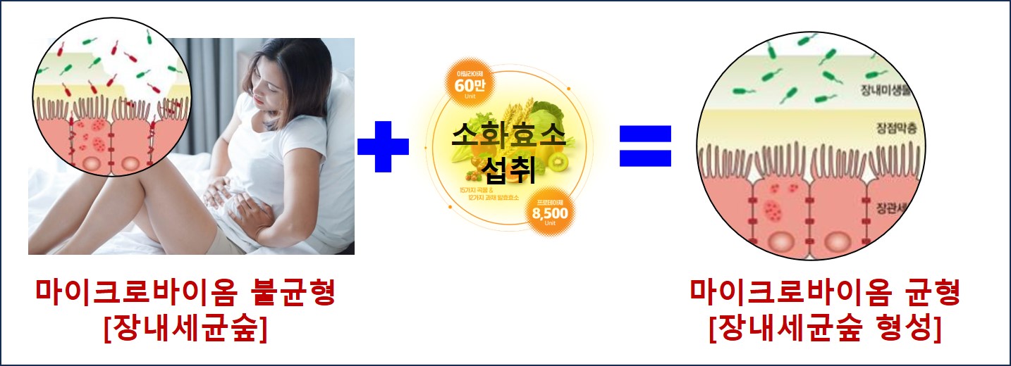 마이크로바이옴