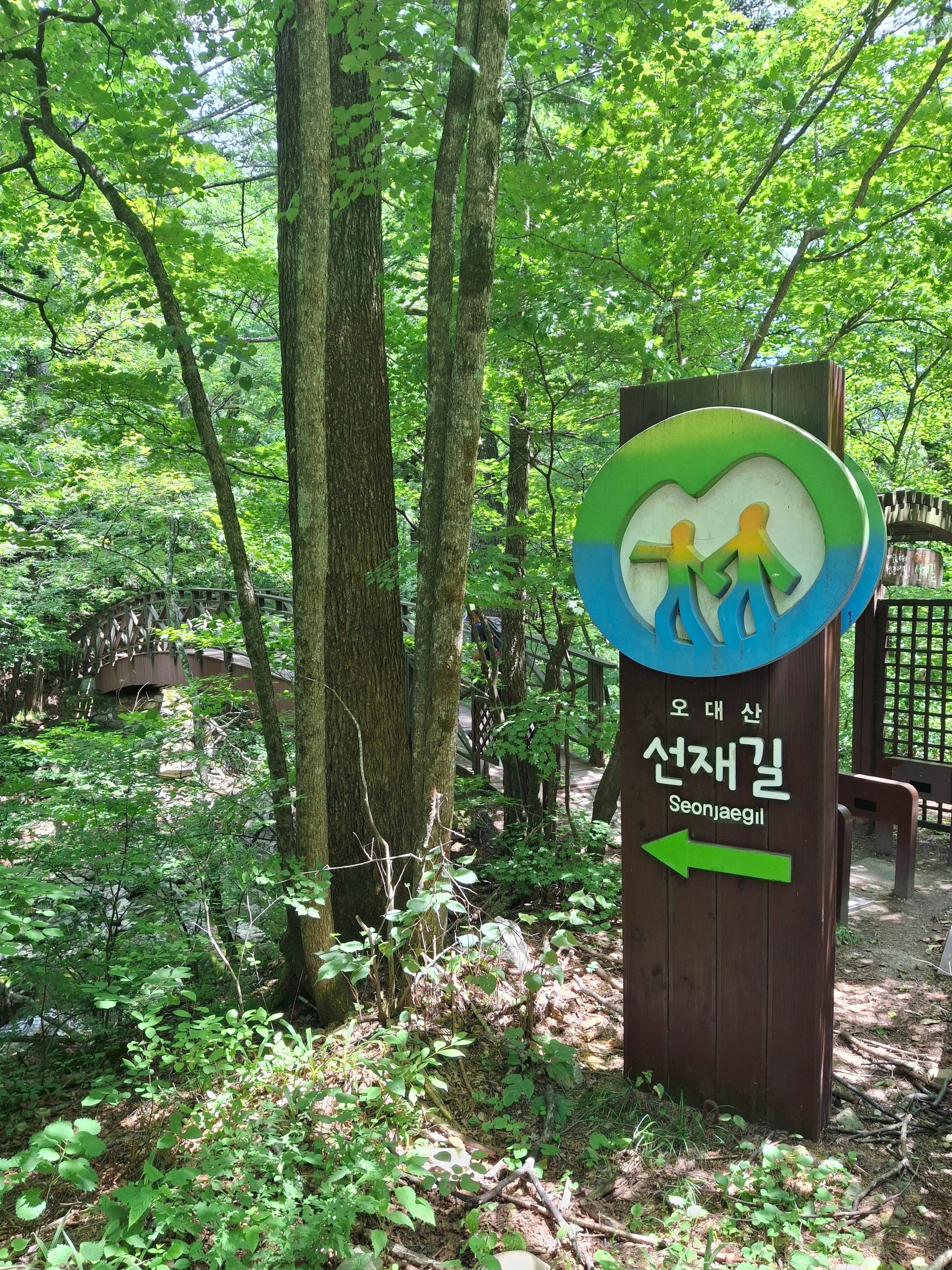 강원도 평창 오대산 선재길 트레킹