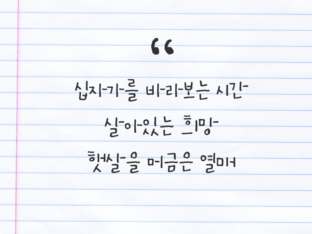 2026년 3월 9일 피어나네 감사노트|일상을 행복으로 바꾸는 기록 하루 3줄 감사일기