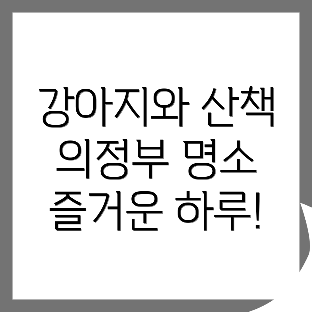 의정부역 강아지 산책