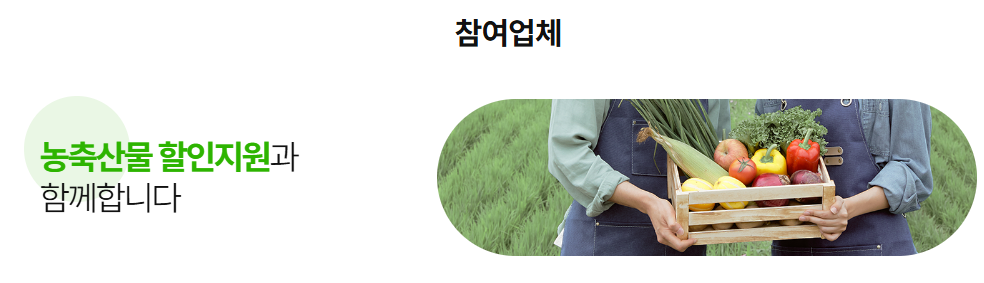 참여업체