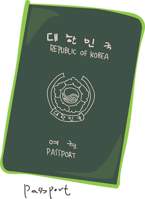 대한민국 여권