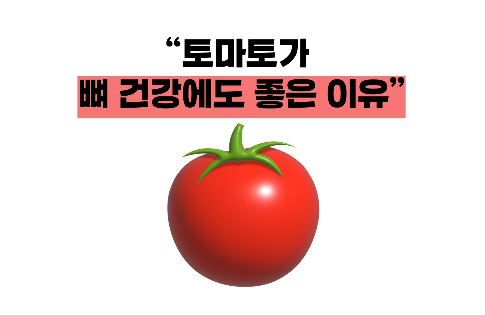 토마토 효능
