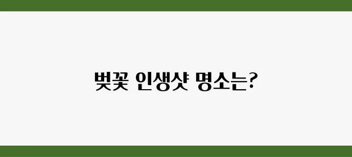 당일치기로 가능한 벚꽃 인생샷 여행지