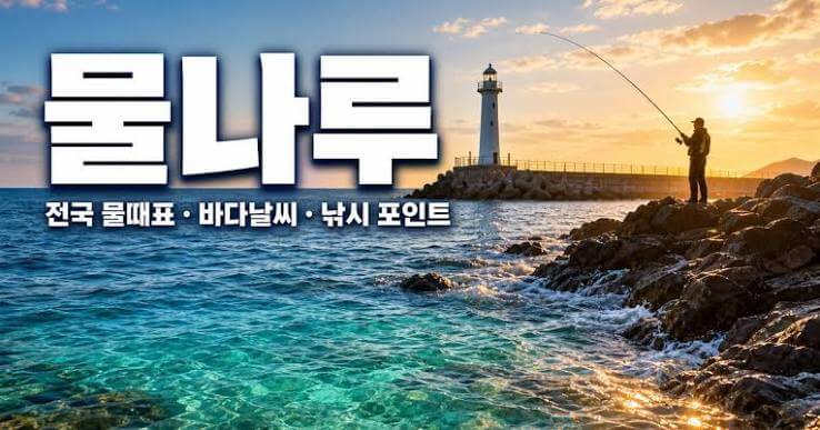 제주 모슬포 물때표
