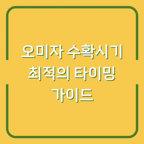오미자 수확시기 최적의 타이밍 가이드