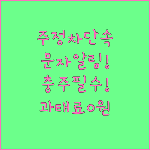 충주시 자동차 주정차 단속 알림 문자..