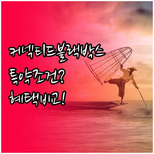 커넥티드 블랙박스 특약 조건과 보험사..