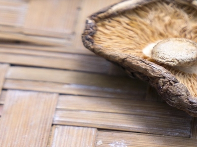 표고버섯 효능 사진34