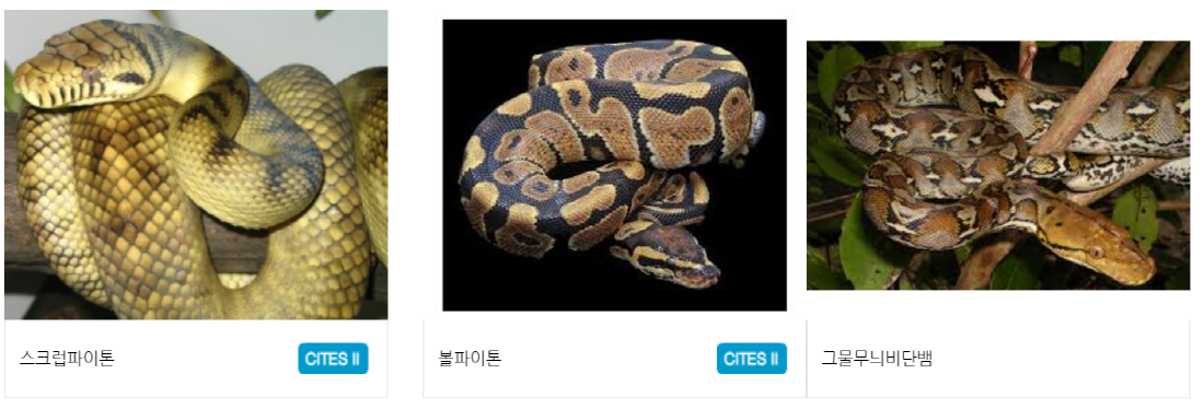 구미 쥬쥬동산
