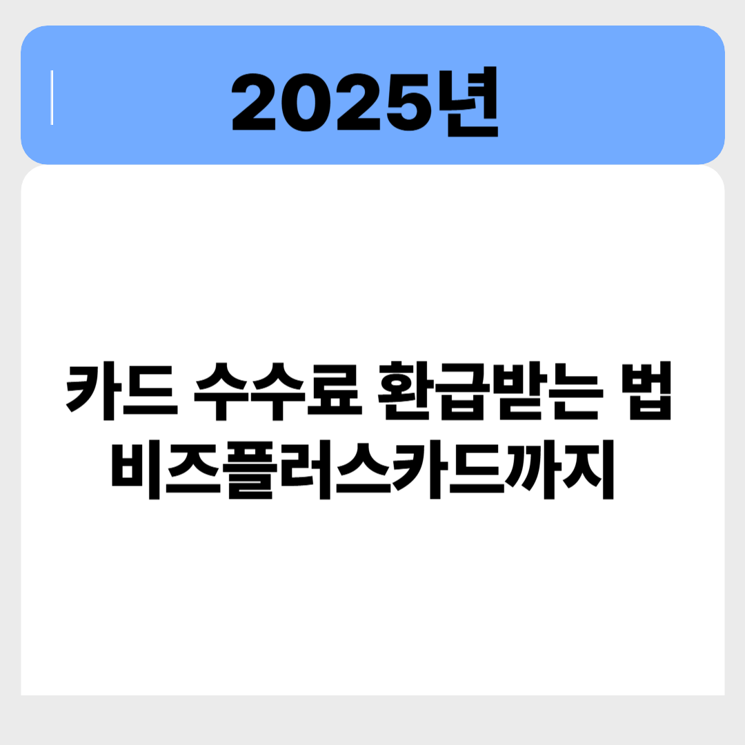 카드 수수료 환급받는 법! 비즈플러스카드까지 제대로 비교해드립니다 관련 이미지