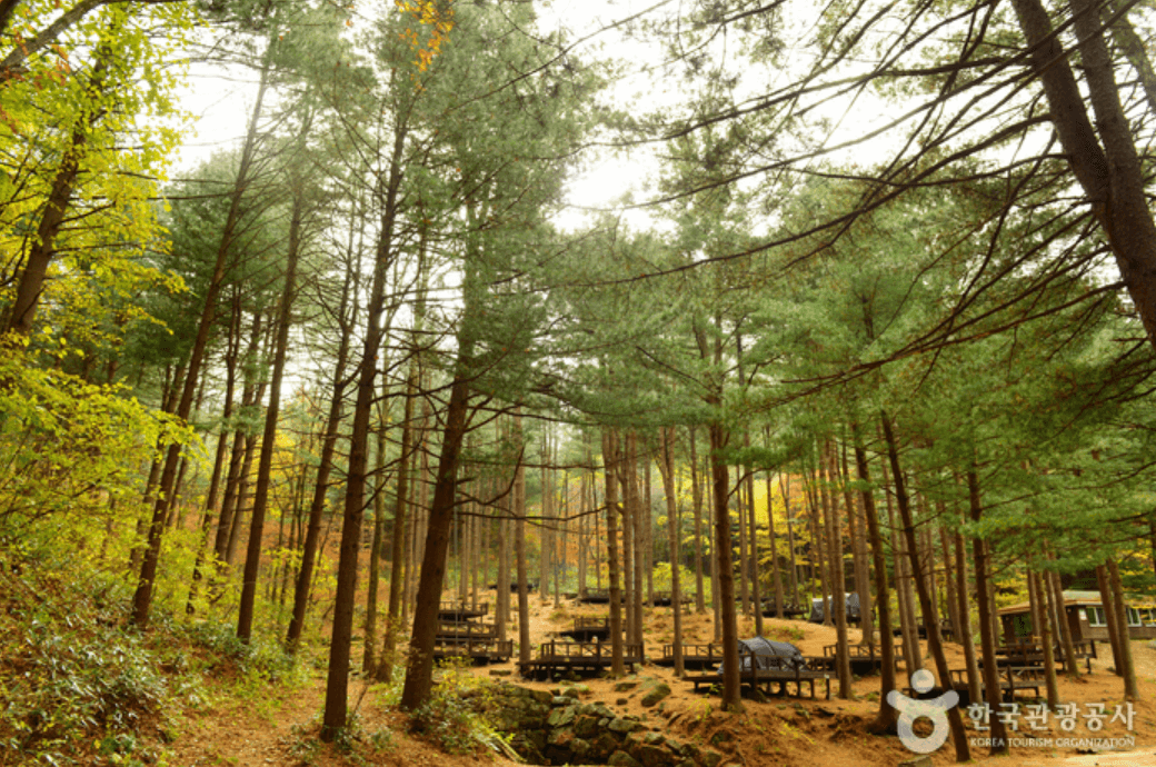 국립 청태산 자연휴양림