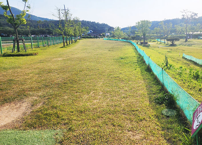 영광 불갑테마공원 영광파크골프장