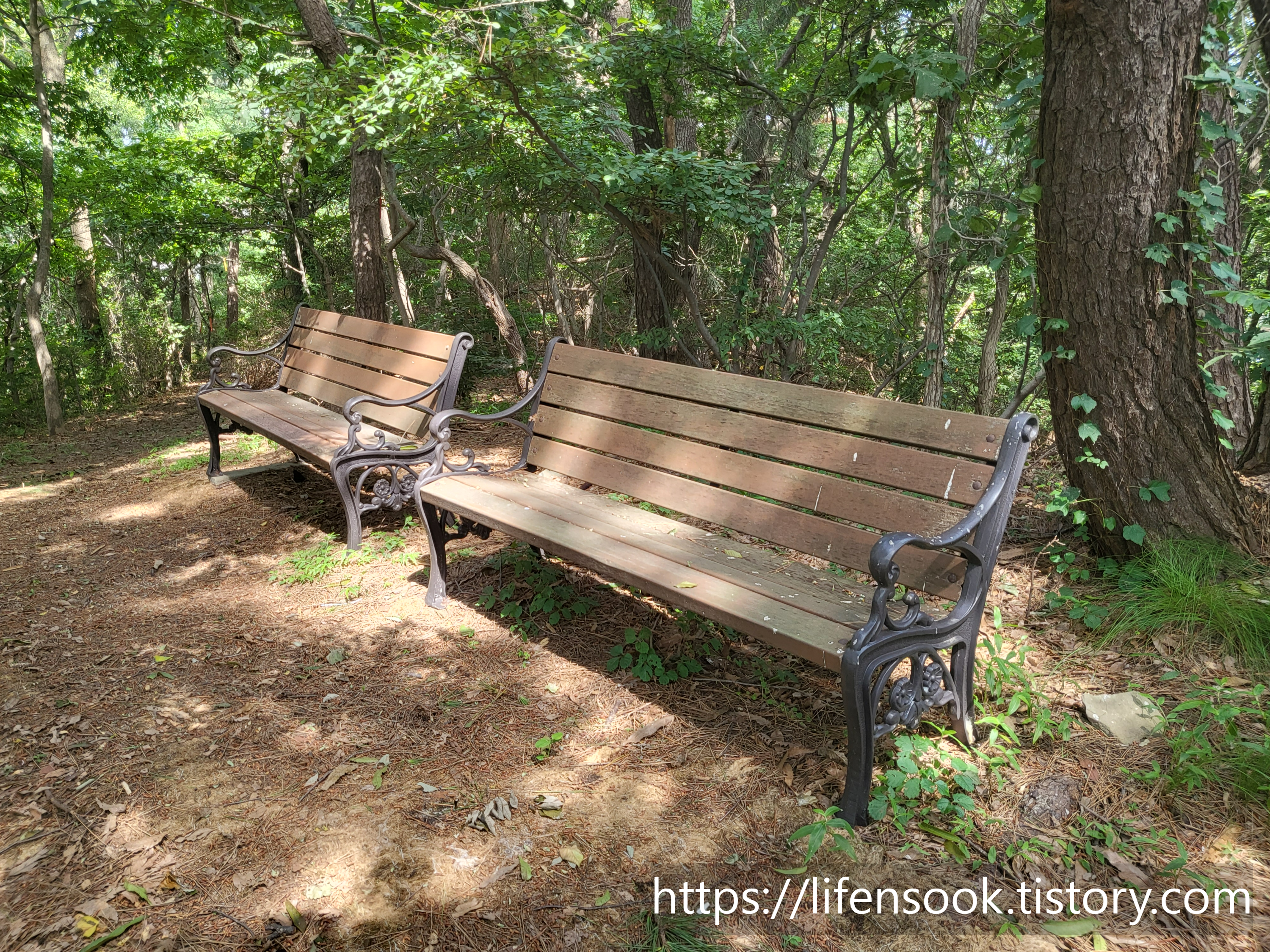 대부해솔길 3코스 큰산 벤치