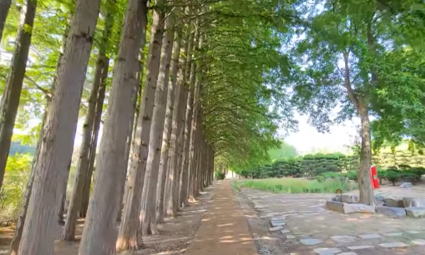 나만알고싶은여행지