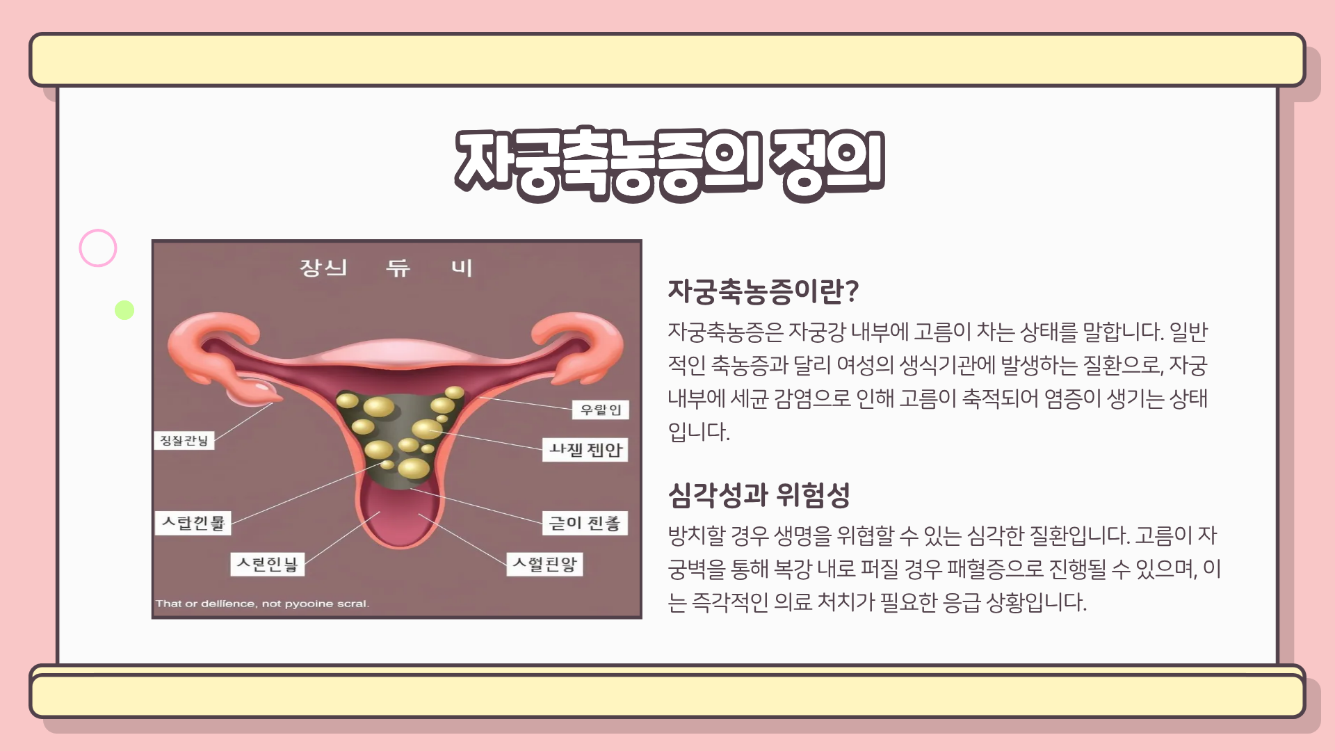 축농증 증상과 원인, 만성 축농증 증상, 자궁축농증 증상까지 완벽 정리