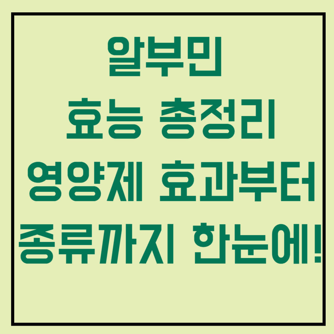 알부민 효능 총정리|영양제 효과부터 종류까지 한눈에!