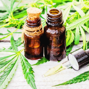 마리화나 관련주 대장주 수혜주 테마주 TOP5