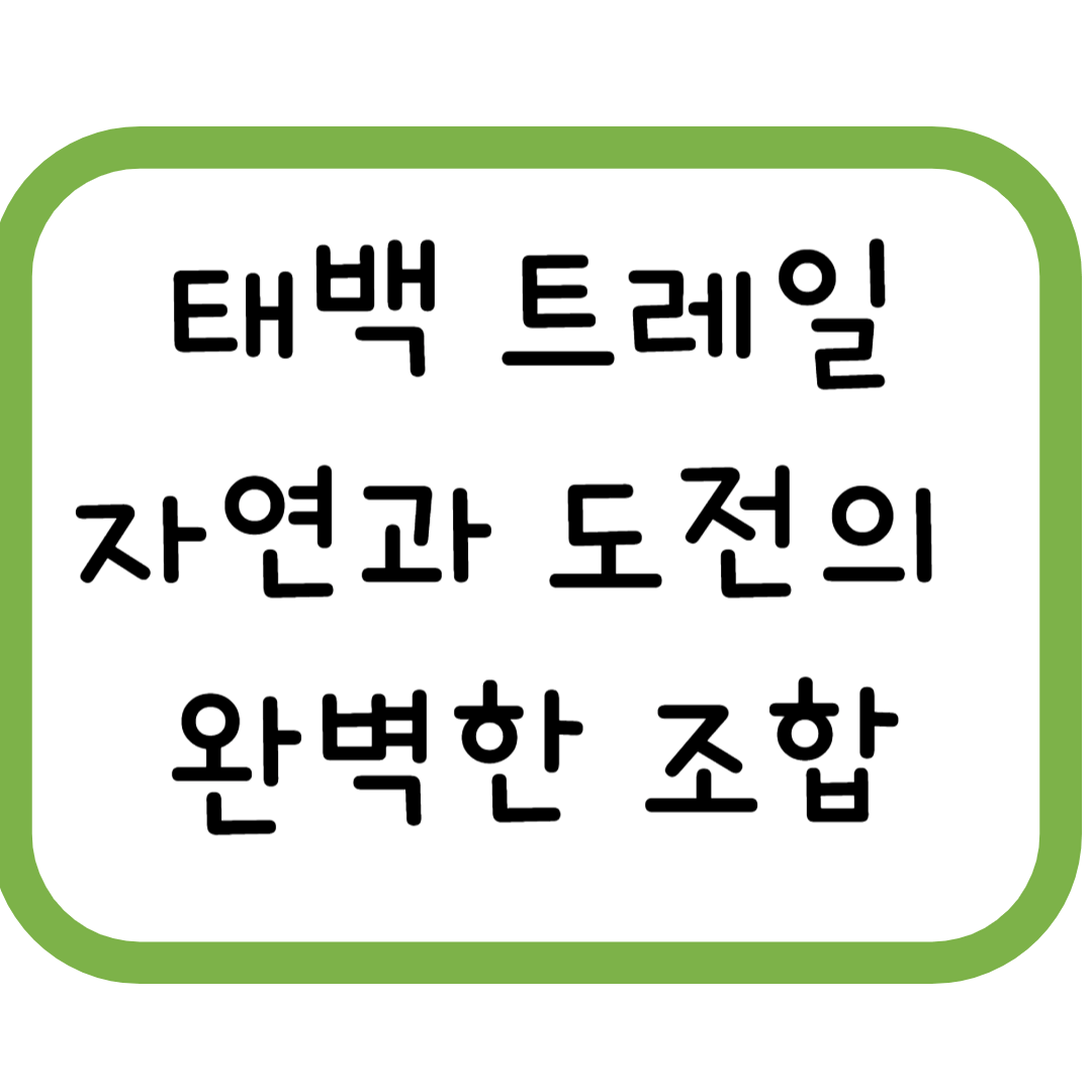 태백 트레일: 자연과 도전의 완벽한 조합- 태백산과 운탄고도의 매력 속으로