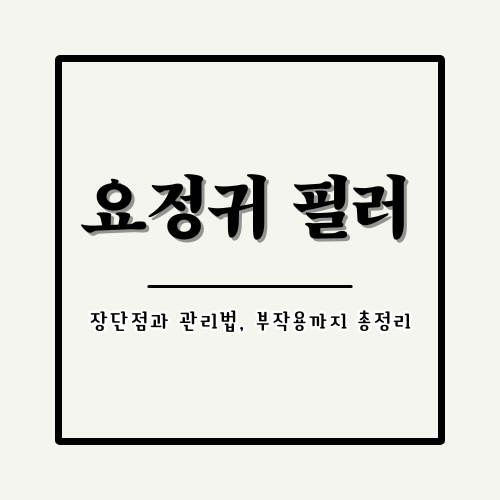 요정귀 필러 완전 정복 가이드: 얼굴 작아지는 마법 같은 효과!