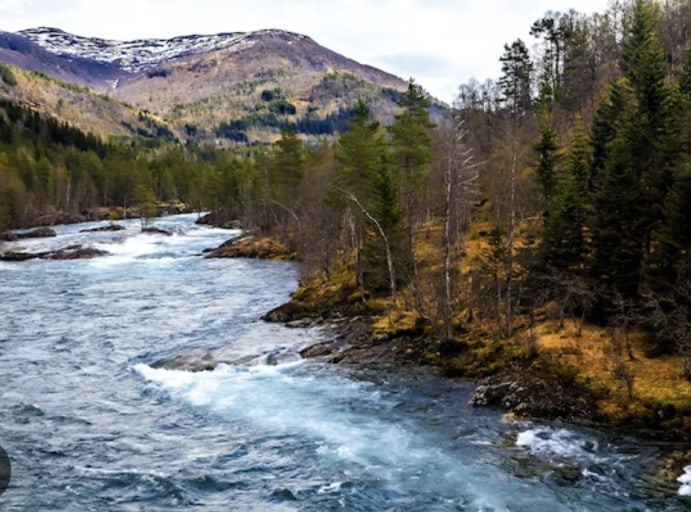 흐르는 강물처럼 영화 줄거리 책 일본 노래 명대사