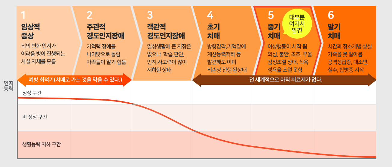 치매의-발전단계-도표