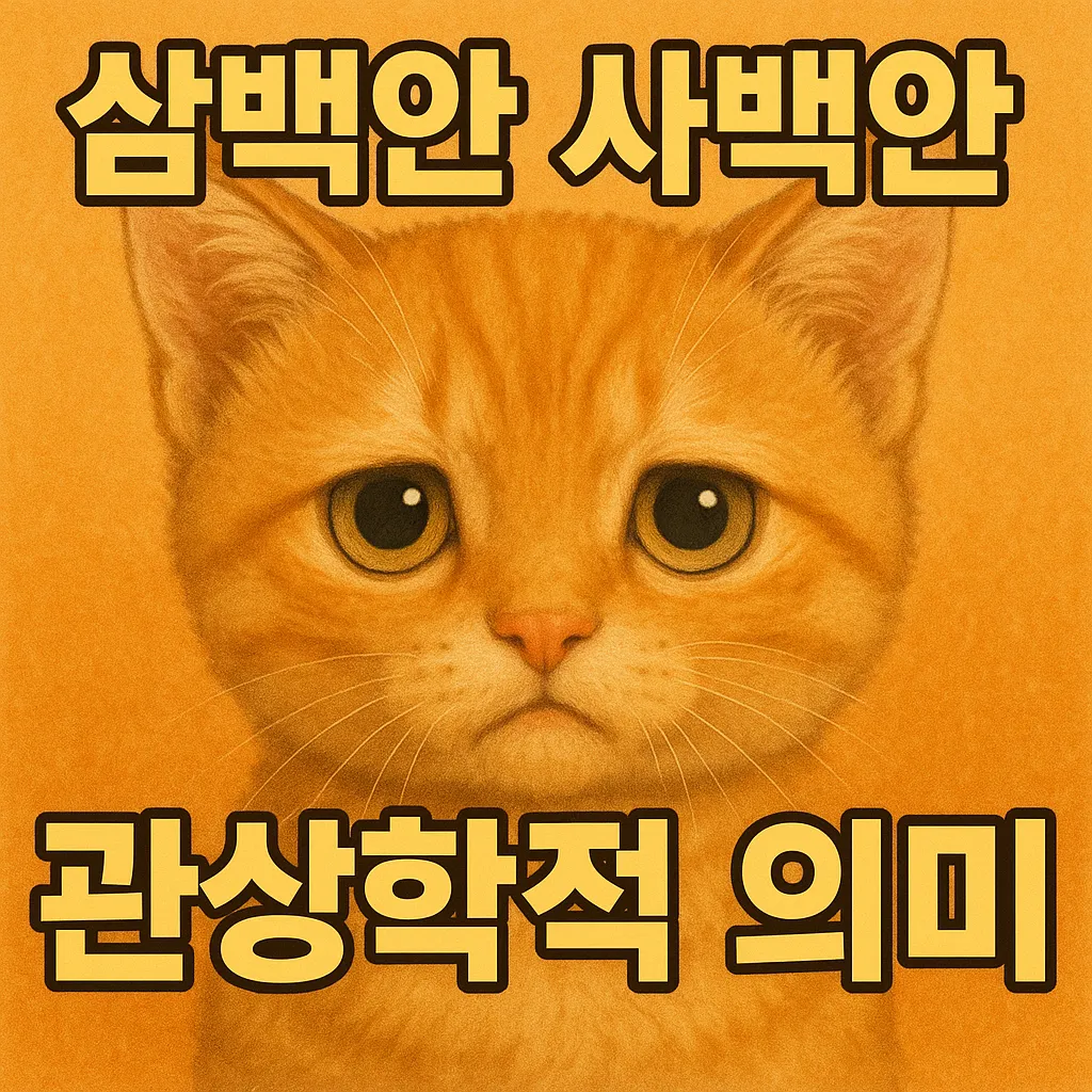 삼백안 사백안 관상학적 의미와 건강 신호