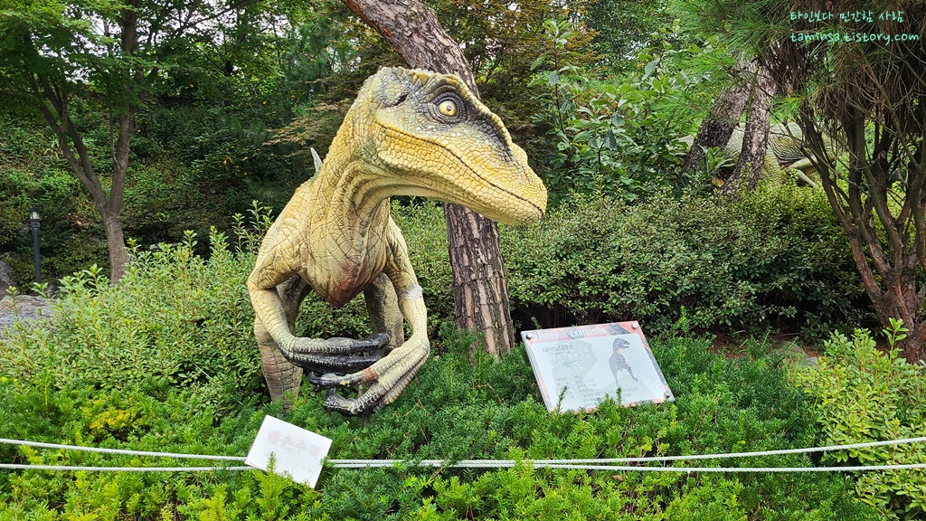 덕소자연사박물관-공룡전시