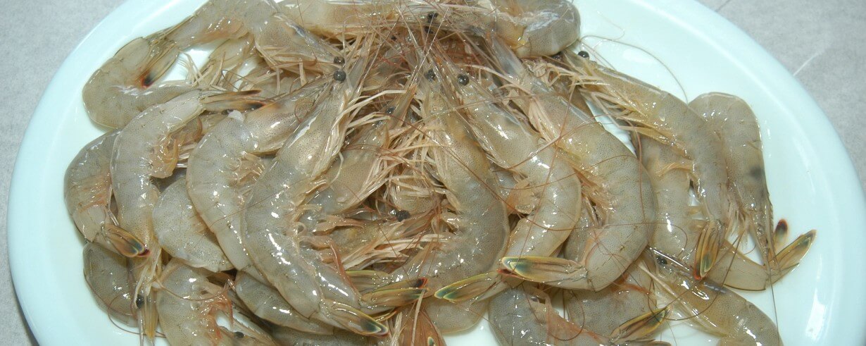 남당항축제 대하