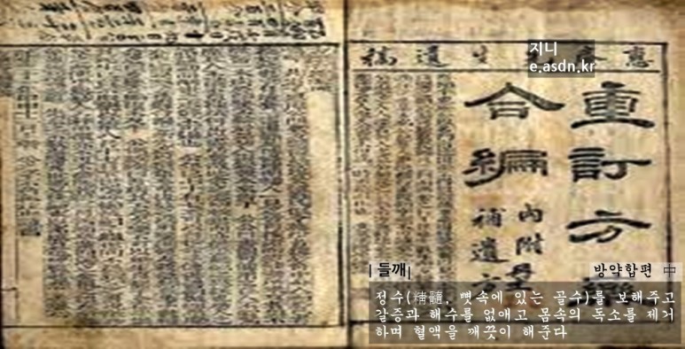 들깨 효능 10가지와 활용법 부작용 총정리