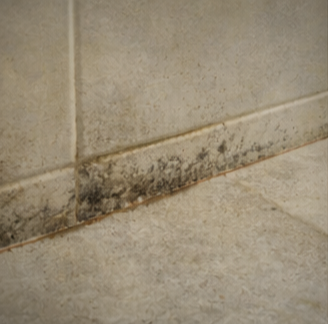 22편. 장마철 곰팡이 냄새 관리 실전 방법