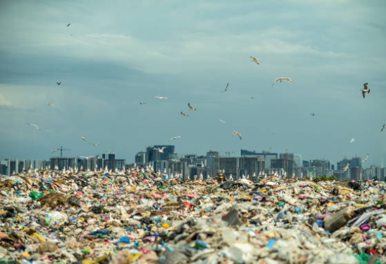 대형폐기물스티커 인터넷발급