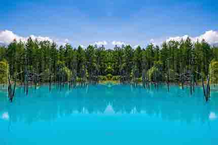 후라노 & 비에이 여행 가이드