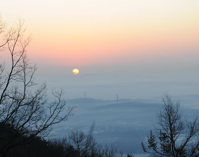 서봉산 산림욕장 화성 여행