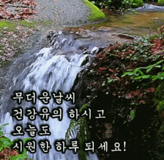 대서 이미지