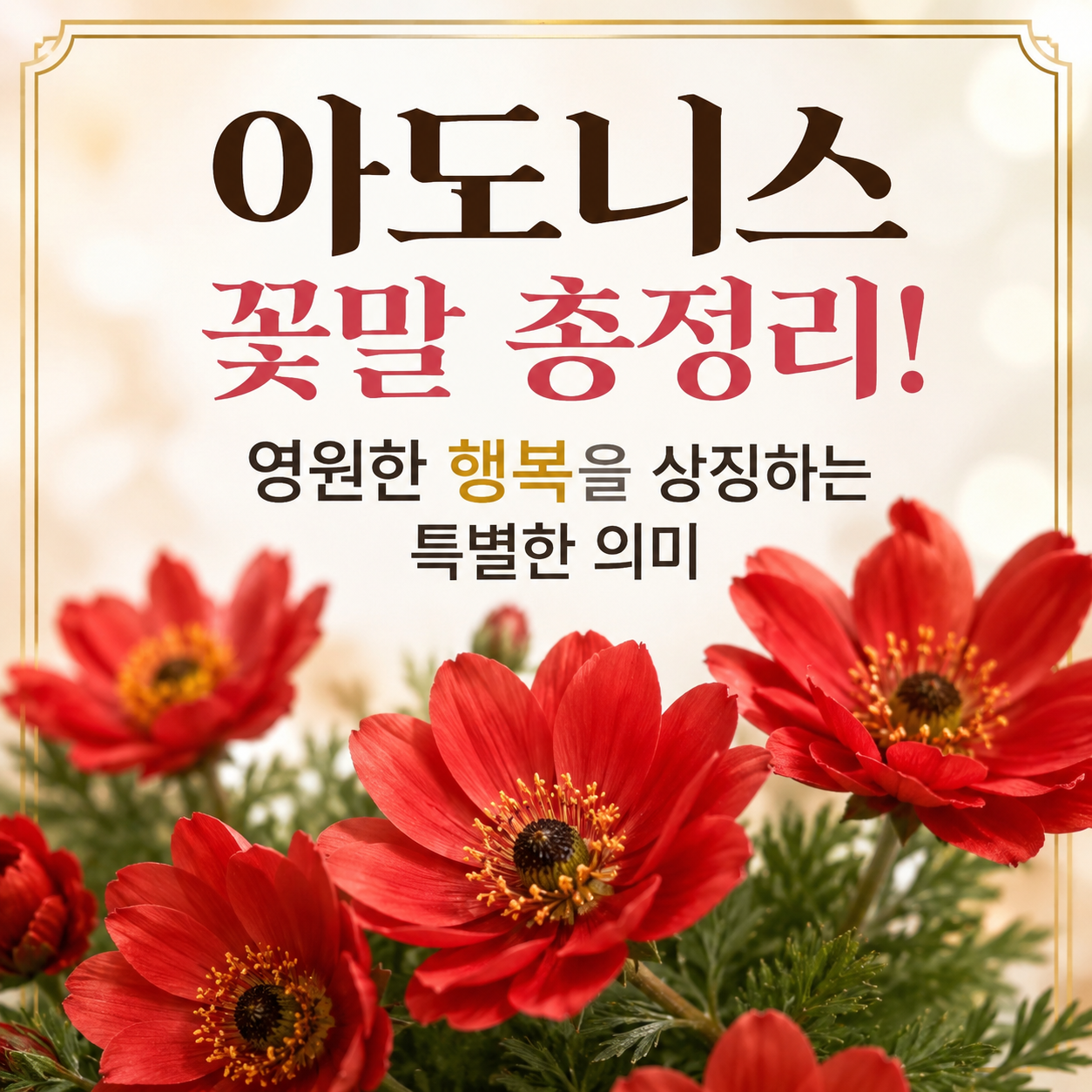 아도니스 꽃말