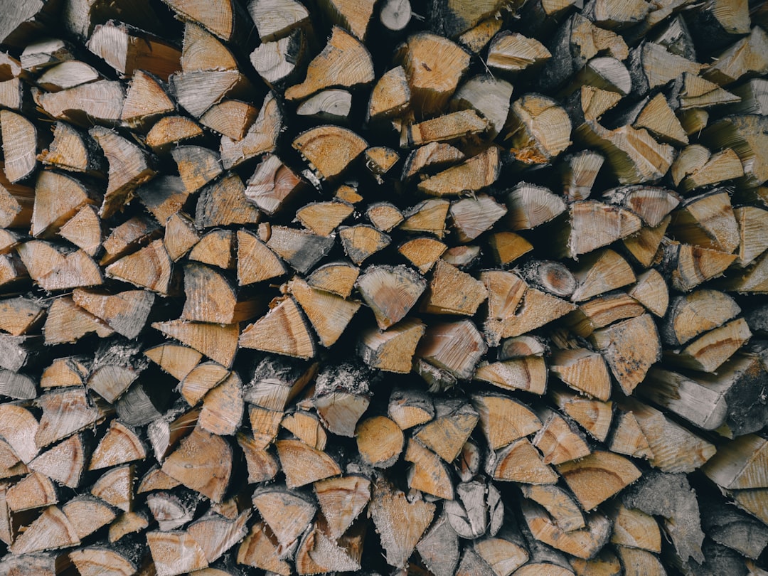황태채 (dried pollack)