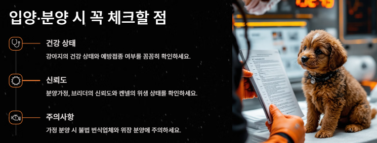 강아지 키우기: 초보견주를 위한 입분양부터 준비물 주의사항