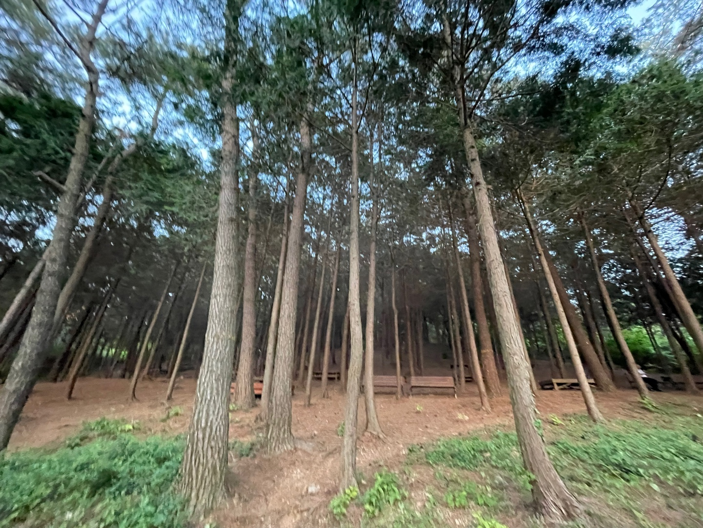 군산 여행 추천 - 월명공원 소개