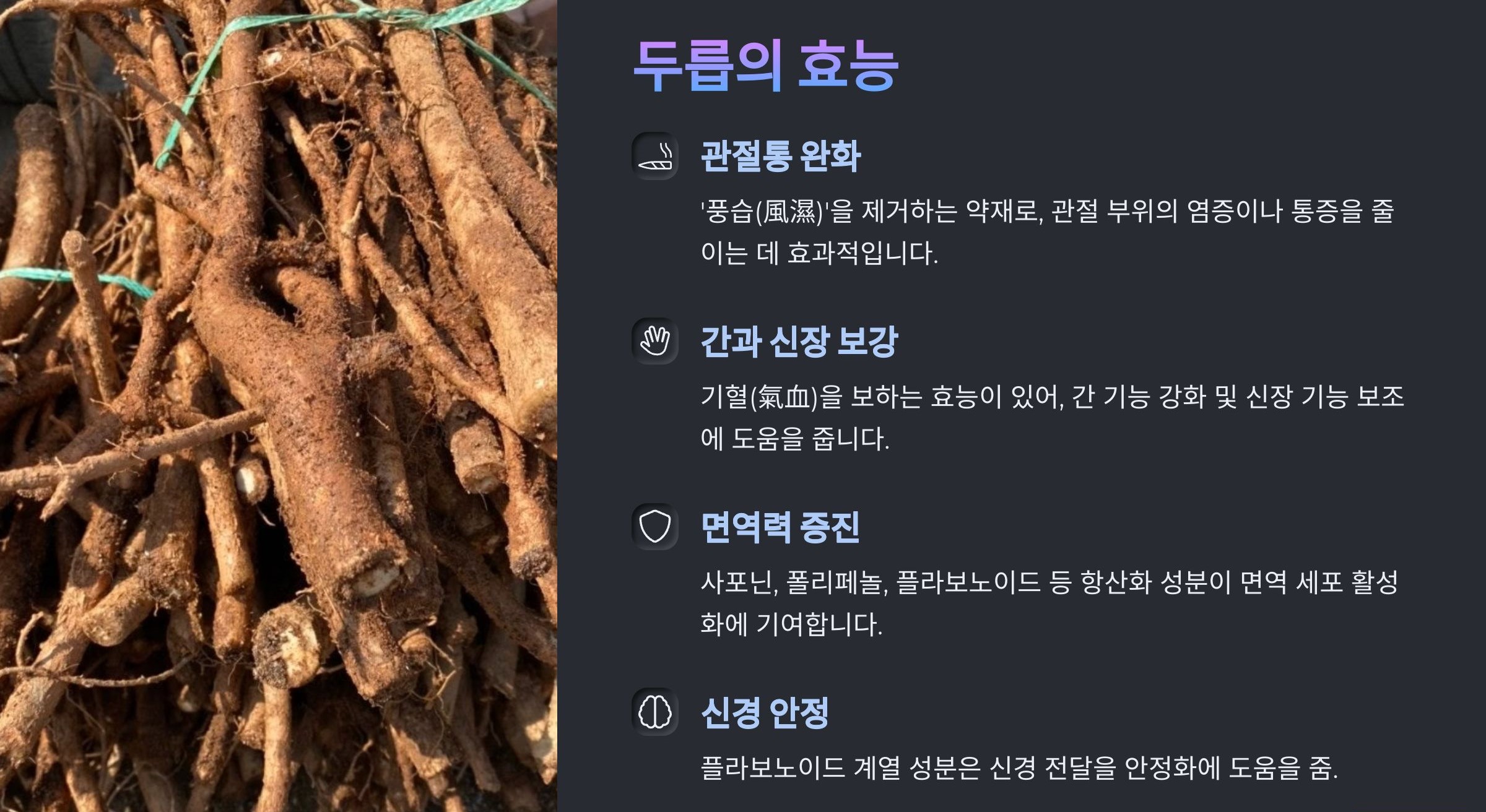 두릅의 효능