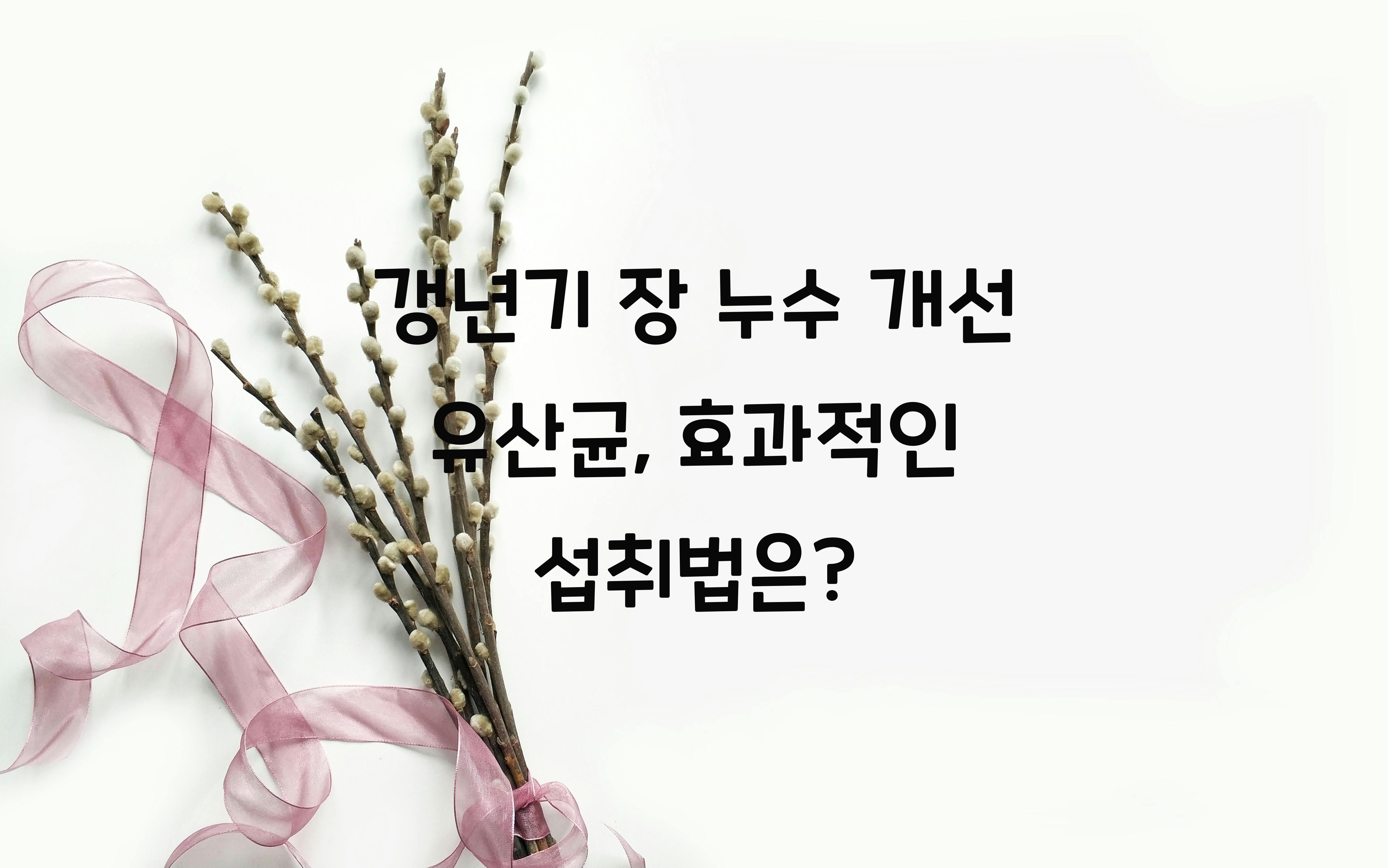 갱년기 장 누수 개선 유산균