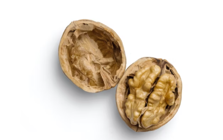 지방간에 좋은 음식